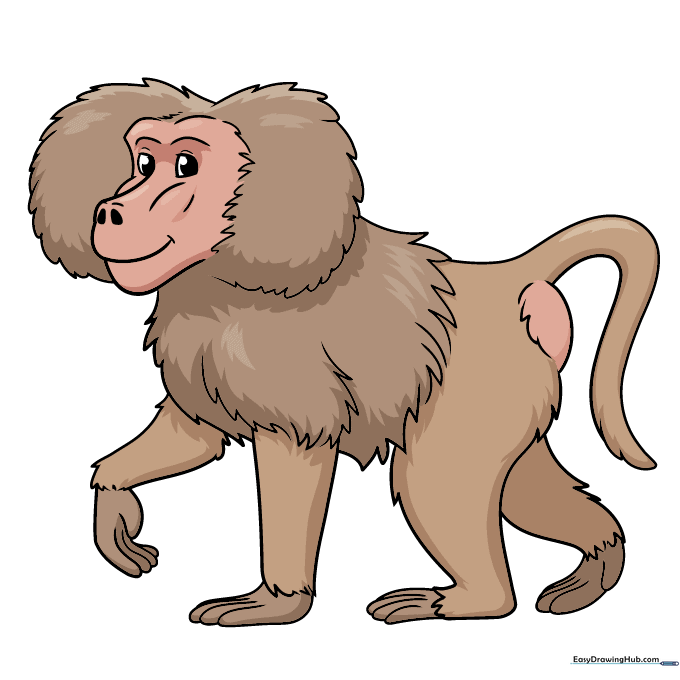 The final colored baboon illustration showing tan fur and pink facial features.