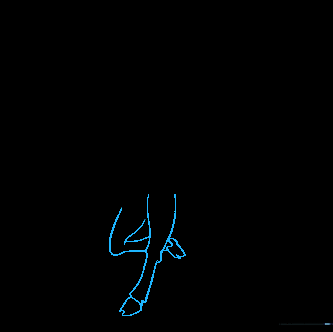 Drawing the front legs and hooves of the baby deer.