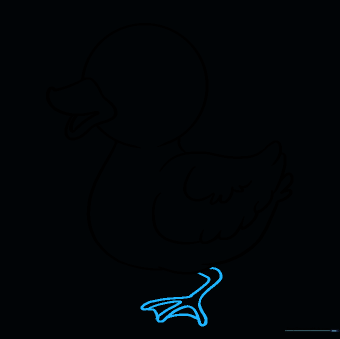Sketching the duckling's first leg with webbed toes.