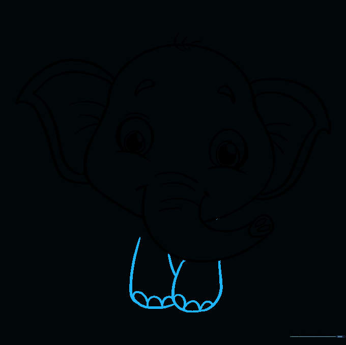 Drawing the front legs and toenails of the baby elephant.