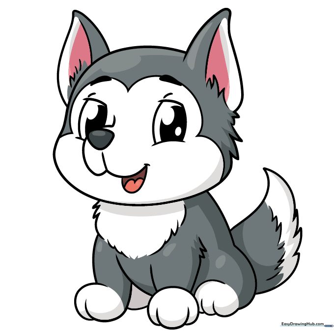 A fully colored, cute cartoon baby husky drawing.