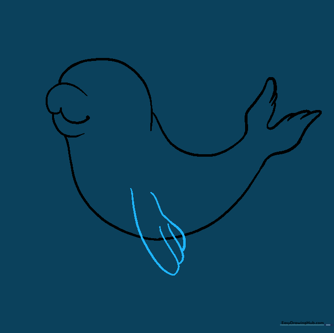 Pencil sketch showing the addition of the baby seal's side flipper extending from the torso.