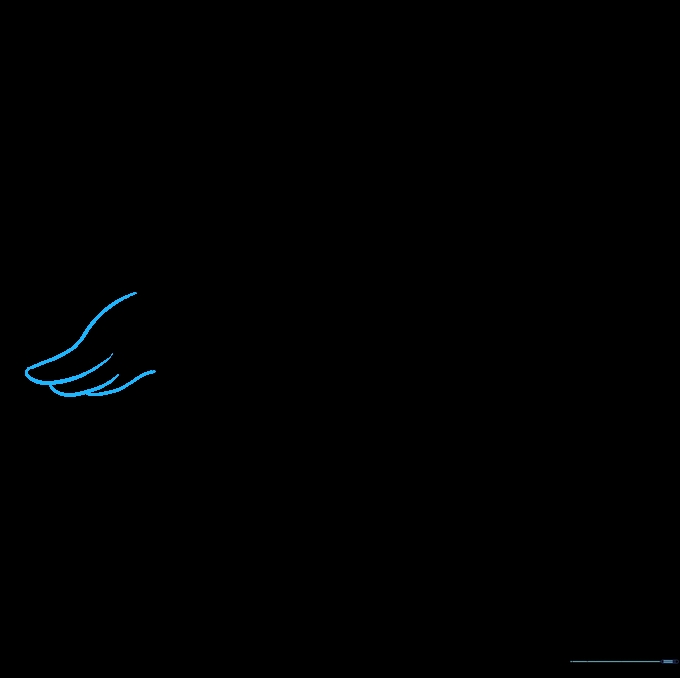 Pencil sketch showing the addition of the second flipper near the baby seal's neck.