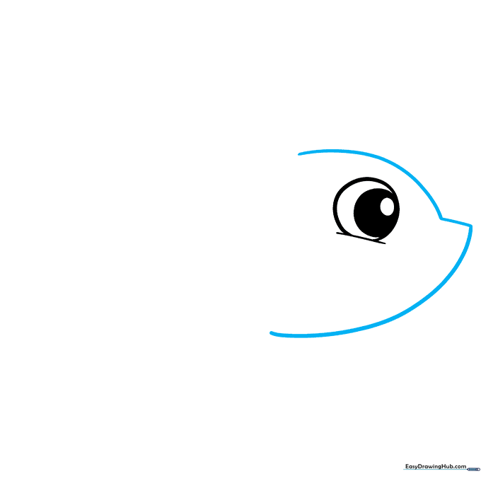 Outline of a shark head showing the curved snout and eye placement.