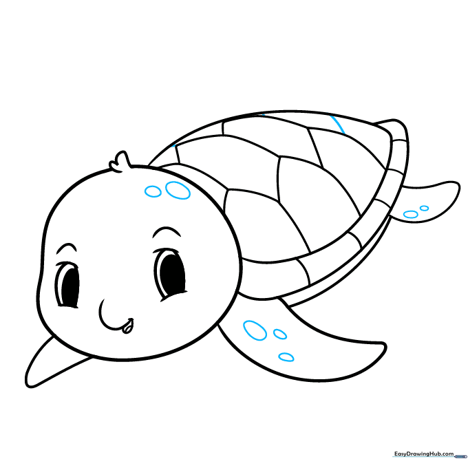 The completed turtle outline with small scale details added to the skin.