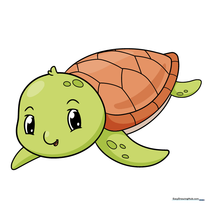 A fully colored, cute cartoon baby turtle.