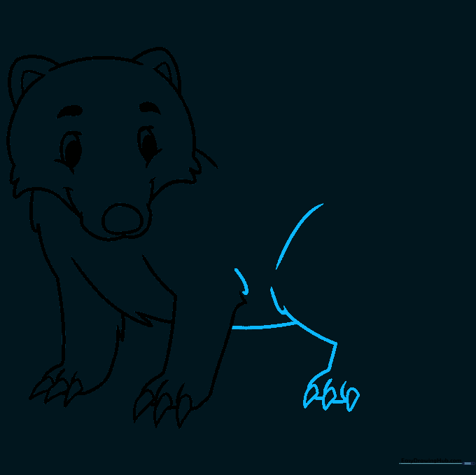 Badger body outline showing the belly and the first rear leg.