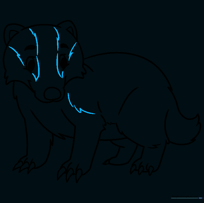 Badger drawing with added facial stripes and leg markings.