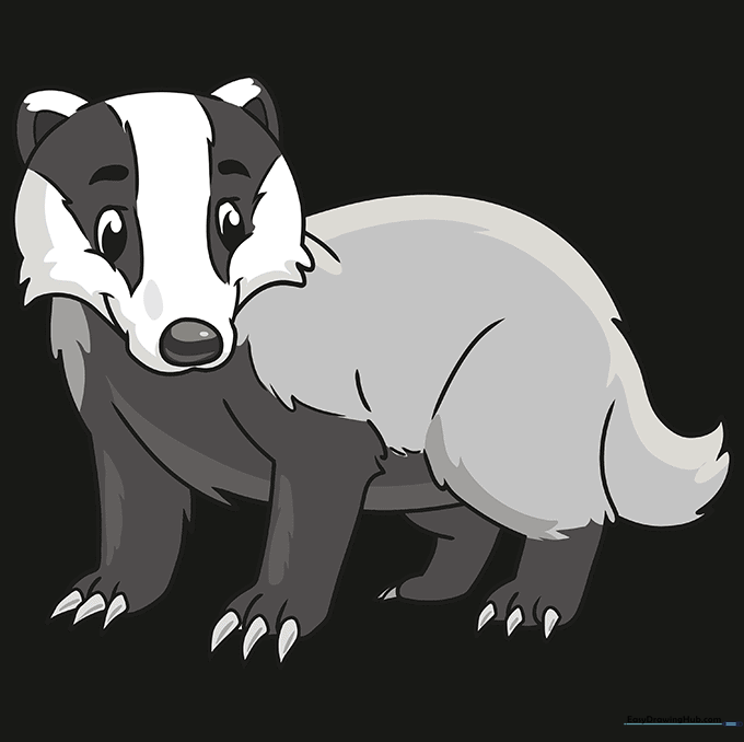 Finished, colored cartoon badger with traditional black, white, and grey markings.