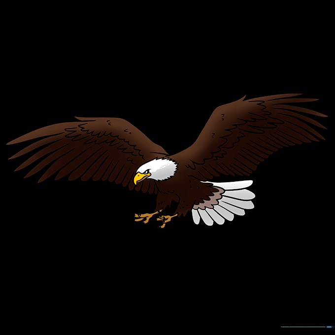 Completed bald eagle drawing colored with brown, white, and yellow.