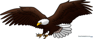 A majestic bald eagle in flight, showcasing the finished drawing style.