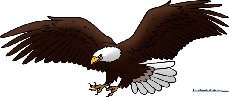 A majestic bald eagle in flight, showcasing the finished drawing style.