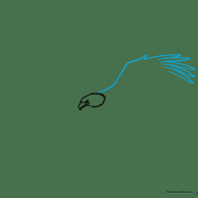 Outline of the eagle's first wing showing long curved lines and U-shaped feather patterns.
