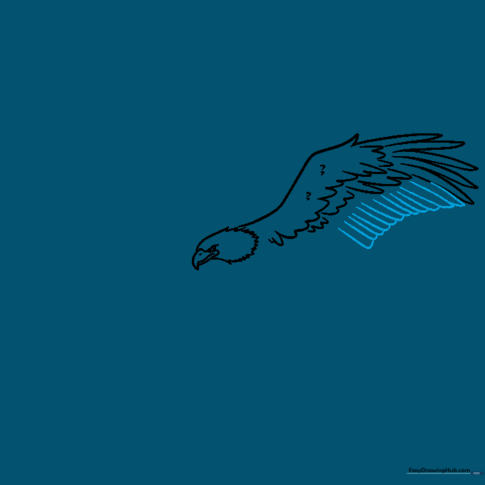 Drawing long, overlapping flight feathers at the base of the eagle's wing.
