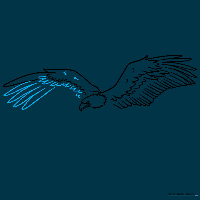 Adding more flight feathers to the second wing using repetitive U-shaped strokes.