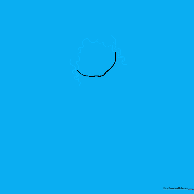 Drawing the ballerina's wavy hair framing the face.