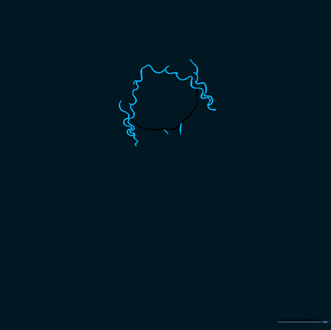 Adding two short lines to represent the ballerina's neck.