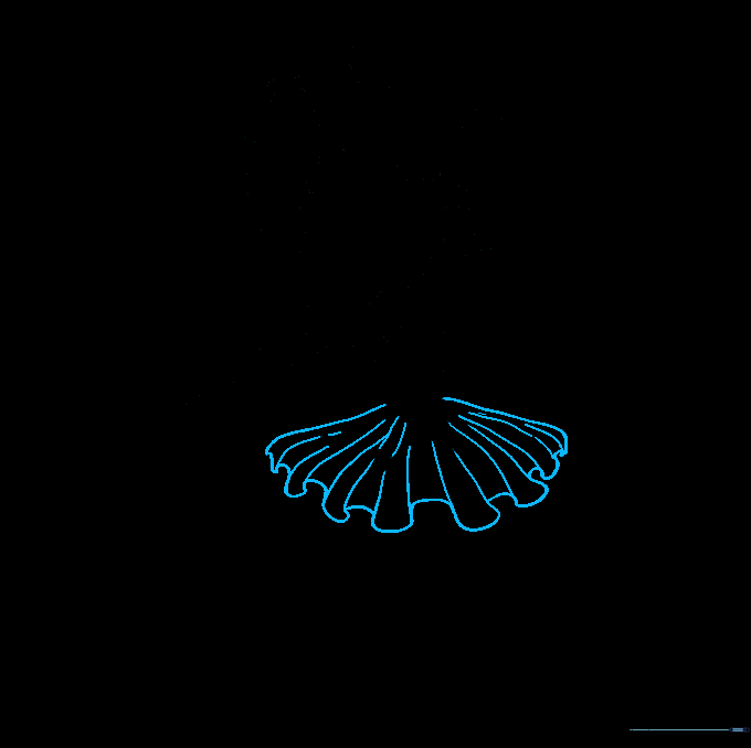 Drawing the skirt of the tutu with wavy lines to show fabric ripples.