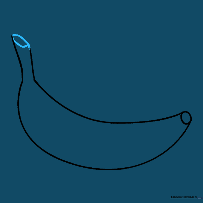 A rounded rectangle shape closing off the end of the banana stem.