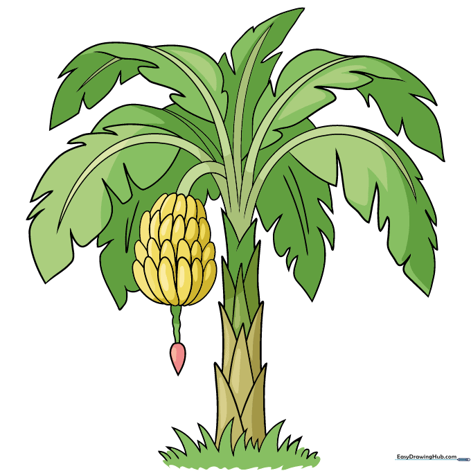 A fully colored, vibrant cartoon banana tree with green leaves and yellow bananas.