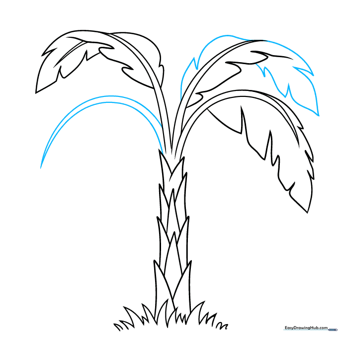 Completing the leaf outline and adding a fourth leaf to the banana tree canopy.