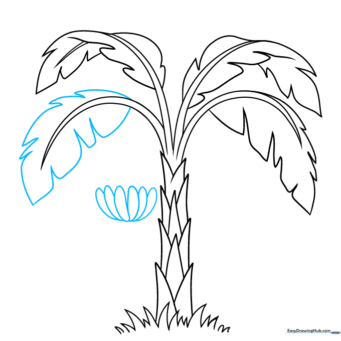 Adding a cluster of bananas to the tree using overlapping elongated shapes.