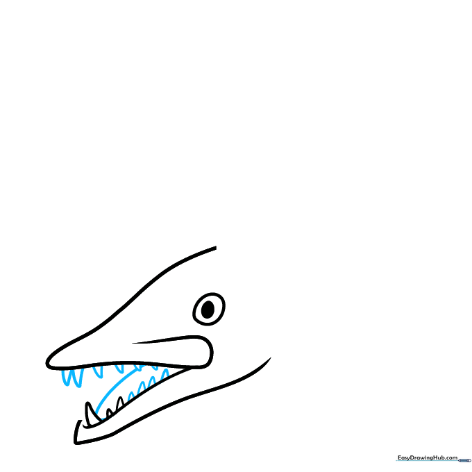 Adding a full row of sharp, pointed teeth to the barracuda's mouth.