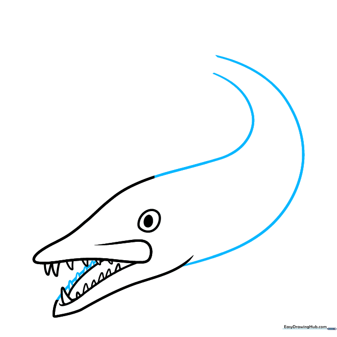 Extending the long, slender body lines from the head of the barracuda.