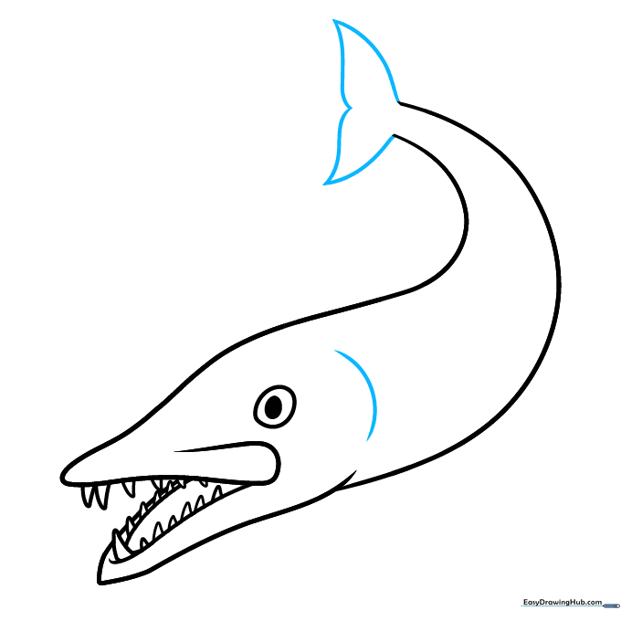 Adding the forked tail fin and the gill line to the barracuda body.