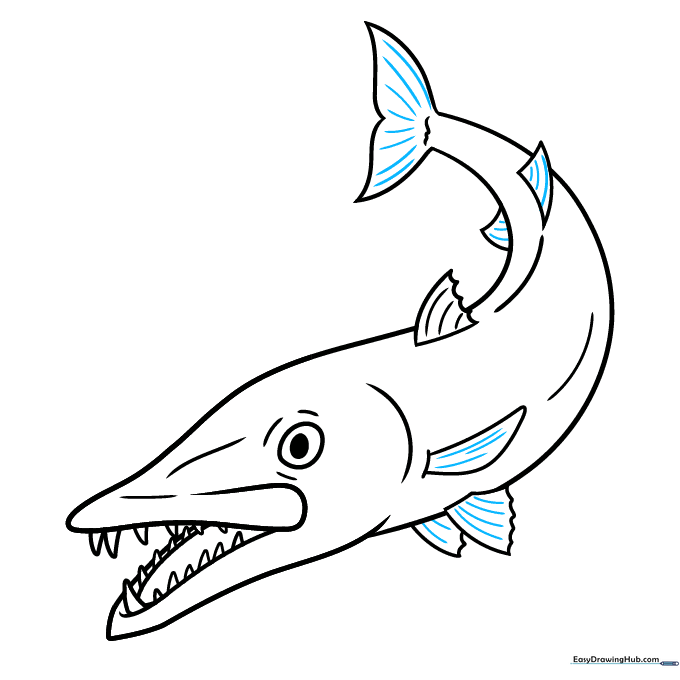 Adding fine line texture to the fins to complete the drawing.