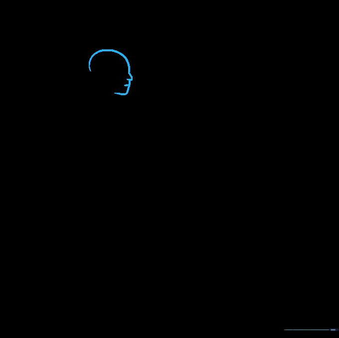 Line drawing of a baseball player's head profile showing the chin, nose, and forehead structure.