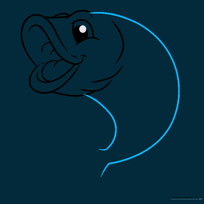 Outline of the bass fish body tapering toward the tail.