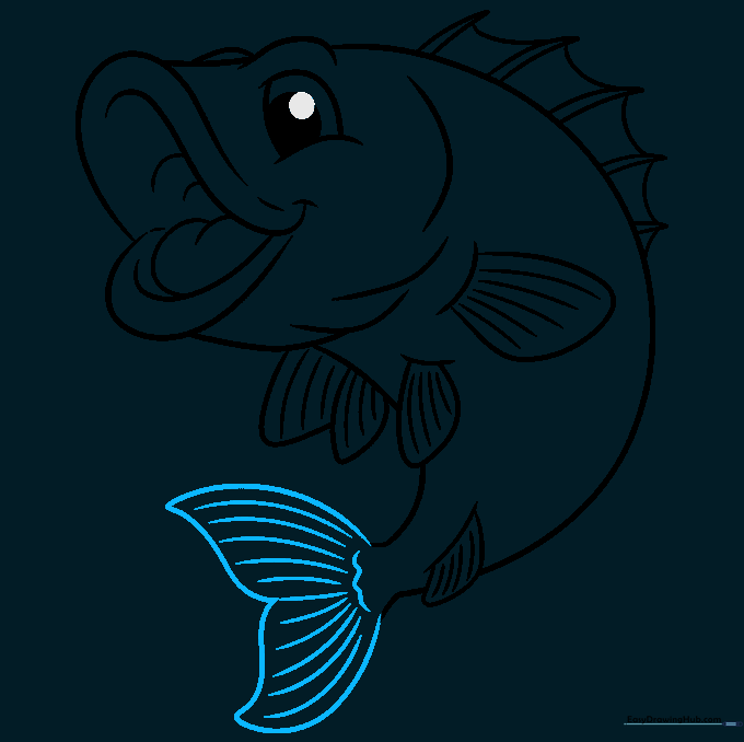Final outline of the bass fish tail with detailed fin rays.