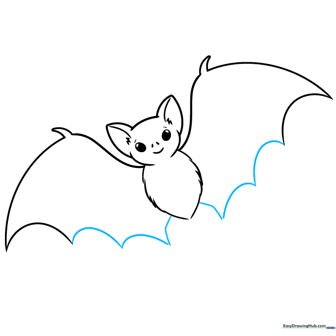 Completing the wing shape with scalloped lines connecting to the body.