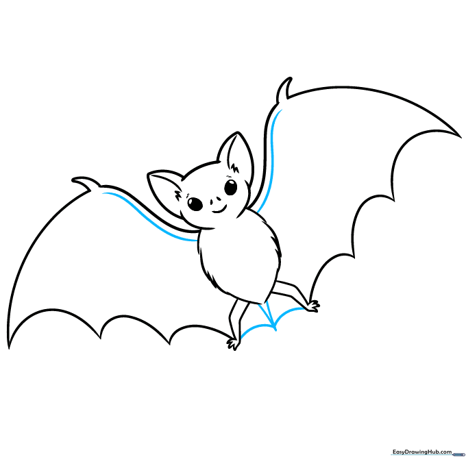 Adding the tail and connecting the lower body lines.