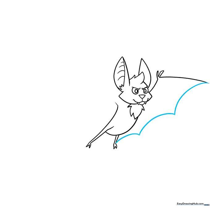 Sketch showing the scalloped membrane of the bat's wing.