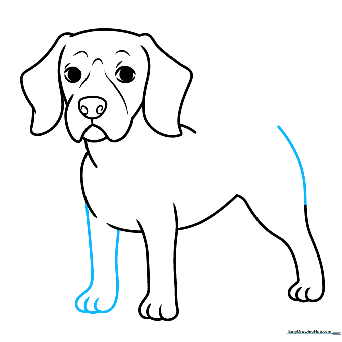 Pencil sketch showing the addition of the second front leg and hip definition.