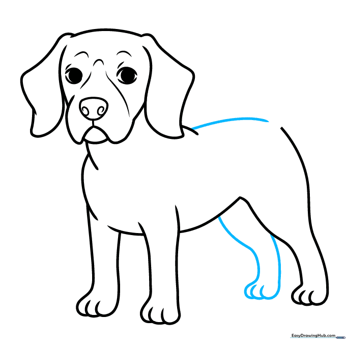 Pencil sketch completing the Beagle's back and final leg.