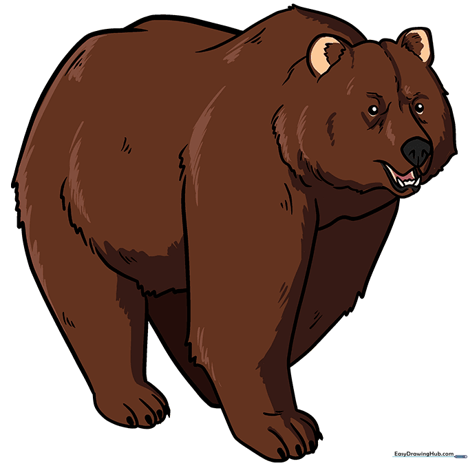 A fully colored, friendly cartoon bear illustration.
