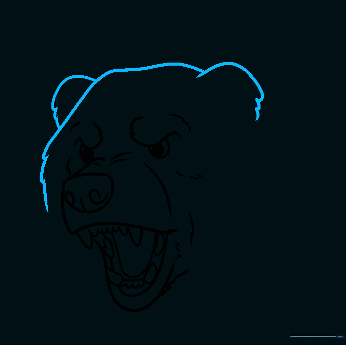 Outline of the bear's head shape and rounded ears.