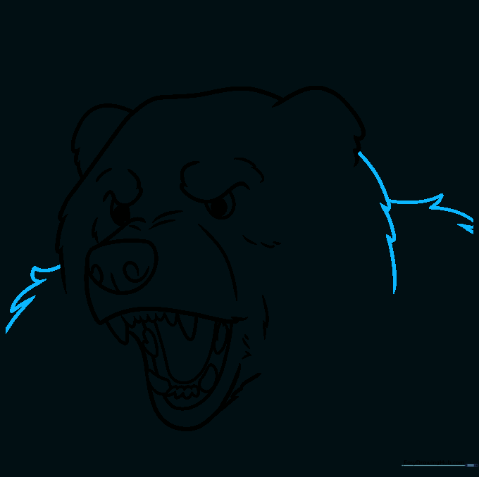 Drawing showing the bear's neck and shoulder fur texture.