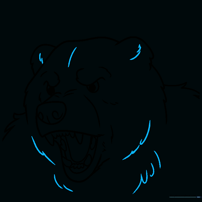 Final line art of the bear face with all details completed.