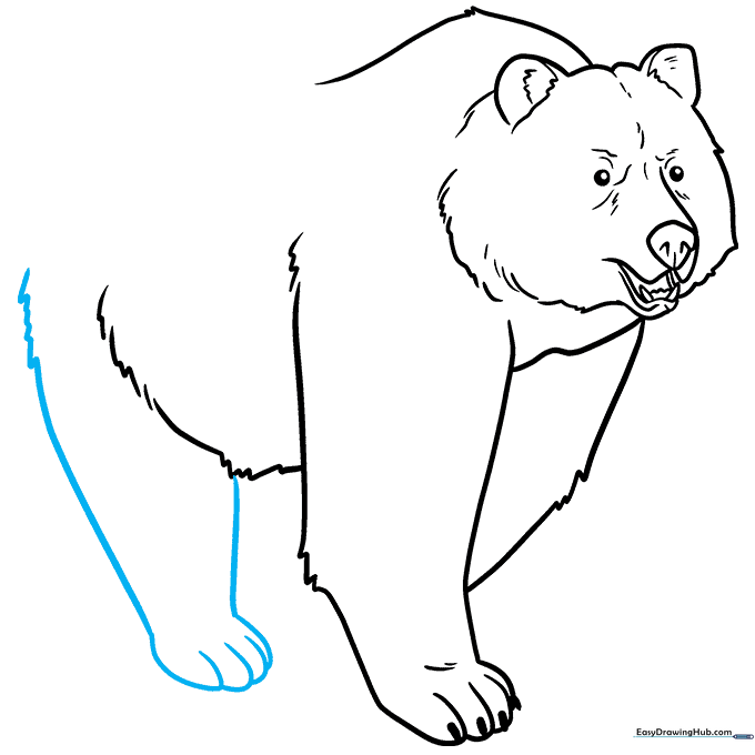 Adding the bear's rear leg with fur texture and toe details.