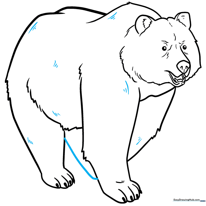 Completing the bear's outline with final fur texture details.