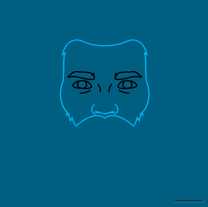 Drawing the nose structure and the outline of the face shape