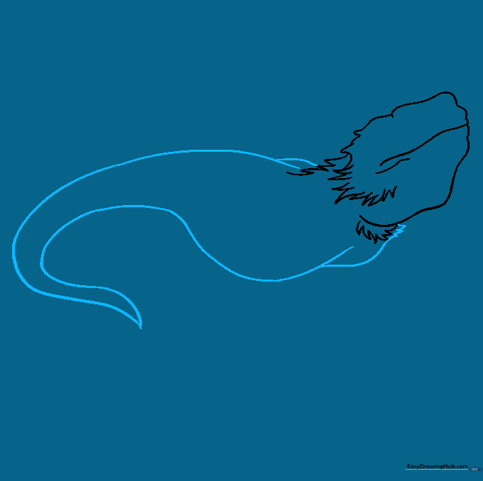 Outlining the long, curved body and tapering tail of the bearded dragon.