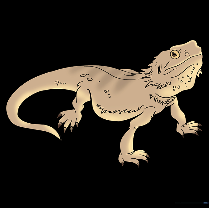 Final colored illustration of a bearded dragon with realistic earthy tones.
