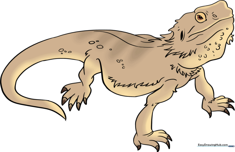 A colorful, finished drawing of a bearded dragon, showcasing the final result of the tutorial.