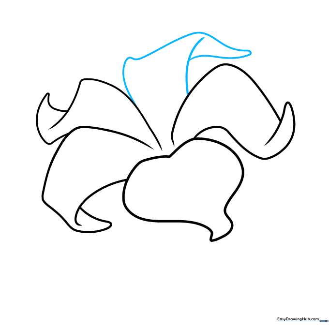 Finalizing the main petal structure with curved lines.