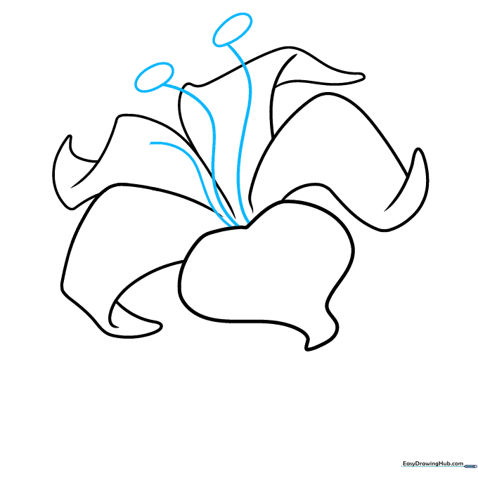 Drawing wavy lines and ovals to represent flower stamens.